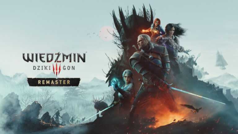 the Witcher