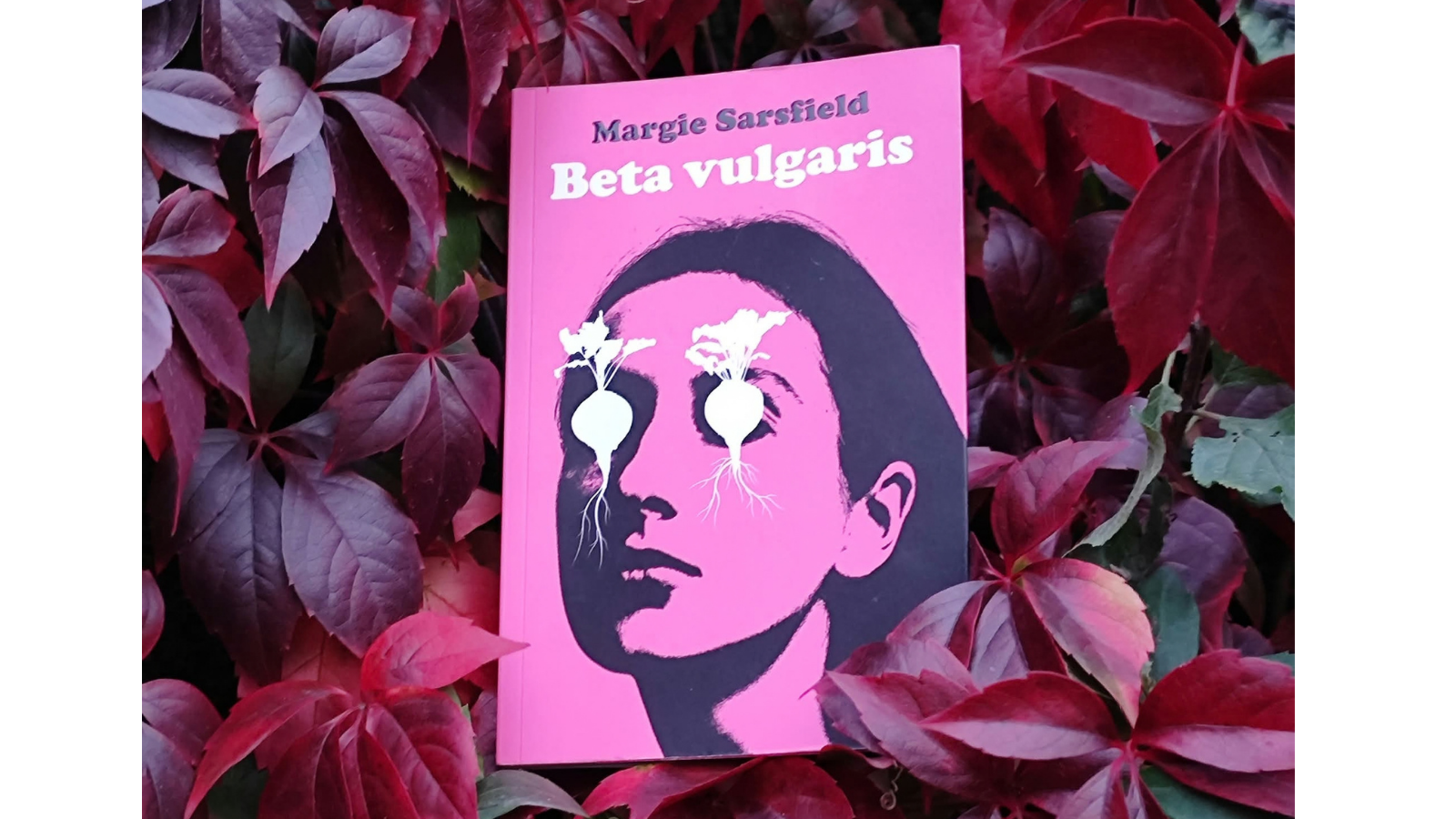 obrazek przedstawiający okładkę książki Beta vulgaris